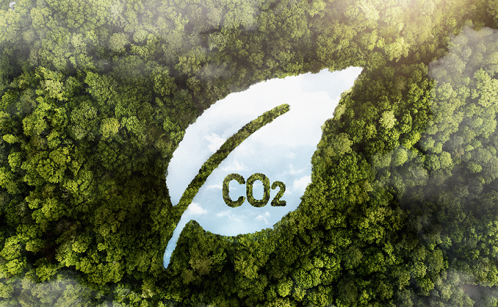 Le marché du crédit carbone : fonctionnement, intérêt et défis
